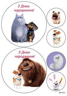 Вафельна картинка "Секрети домашніх тварин" "День народження" /ВК-1613/-А4 ВК-1613 фото