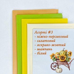 Набір бумаги тіш'ю "Асорті №3", 50*70 см, (25 аркушів) rln000-03 фото