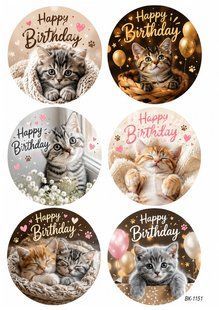 Вафельна картинка "Cat" "День народження" /ВК-1151/-А4 ВК-1151 фото