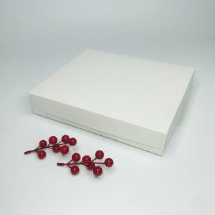 Коробка для пряників, 280*230*50 мм, без вікна, біла М0009-о3 фото